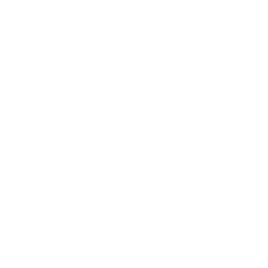 Badge Icon 2
